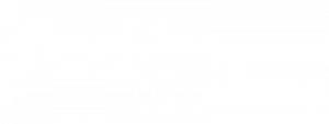 FedEx Custom Critical